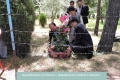 Beautification of Flowers - Badakhshan Cultural Container